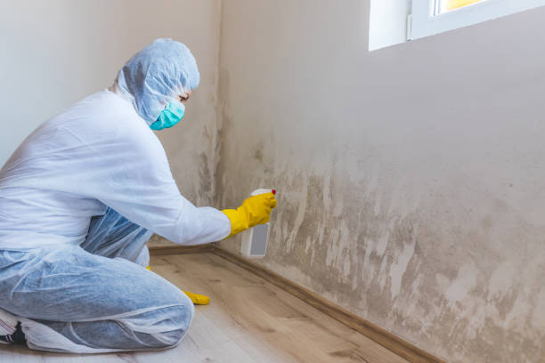 Hvac And Air Duct Mold Remediation inspection of HVAC system in Shelbyville