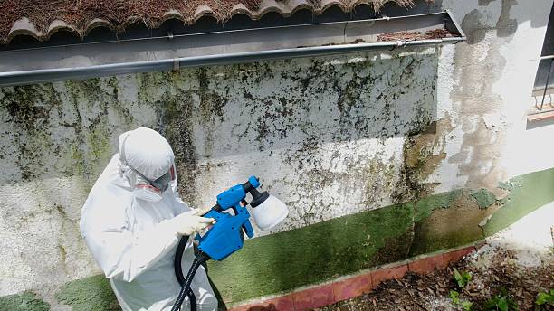 Mold Remediation service in Shelbyville, Shelbyville, TN